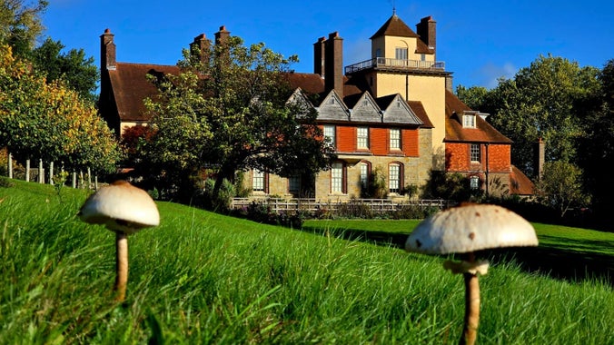 Fungi in close up with the house at Standen in the background, blue sky.